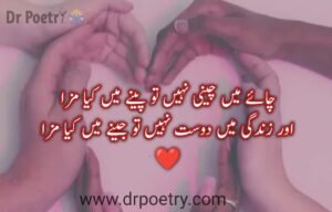 poetry on friendship in urdu, poetry for friends forever in urdu, friendship poetry in english, best friends poetry in urdu, friendship poetry in urdu two lines sms, best friend poetry in urdu sms,