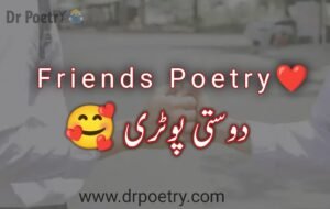 poetry on friendship in urdu, poetry for friends forever in urdu, friendship poetry in english, best friends poetry in urdu, friendship poetry in urdu two lines sms, best friend poetry in urdu sms,