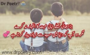 brother quotes from sister,brother quotes for instagram,best brother quotes,big brother quotes,younger brother quotes,brother quotes funny,brother poetry in english,brother poetry 2 lines,brother poetry in english 2 lines,sad poetry for brother in urdu,brother poetry in punjabi,poetry for big brother in urdu,