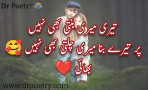 brother quotes from sister,brother quotes for instagram,best brother quotes,big brother quotes,younger brother quotes,brother quotes funny,brother poetry in english,brother poetry 2 lines,brother poetry in english 2 lines,sad poetry for brother in urdu,brother poetry in punjabi,poetry for big brother in urdu,